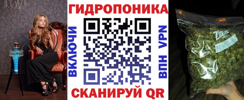 Конопля Amnesia  Купить закладки  Хасавюрт 